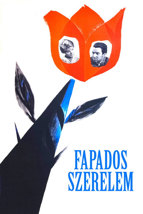 Fapados szerelem — постер