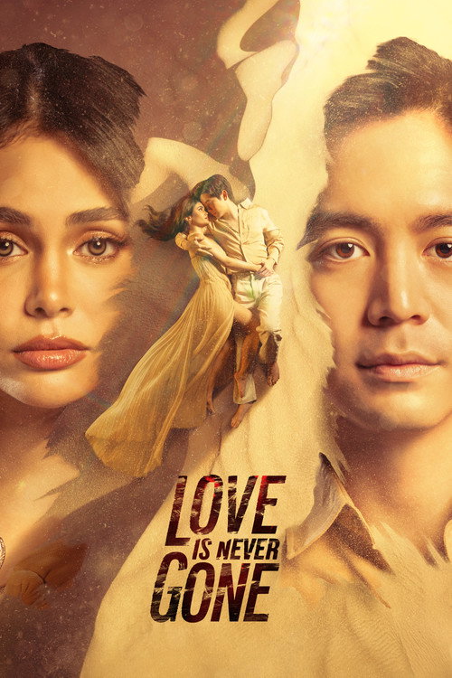 Love Is Never Gone — постер
