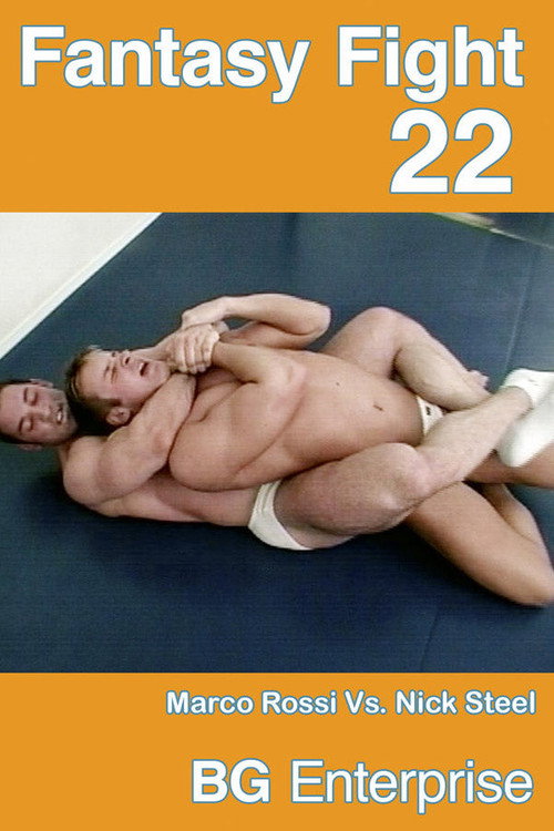 Fantasy Fight 22 — постер