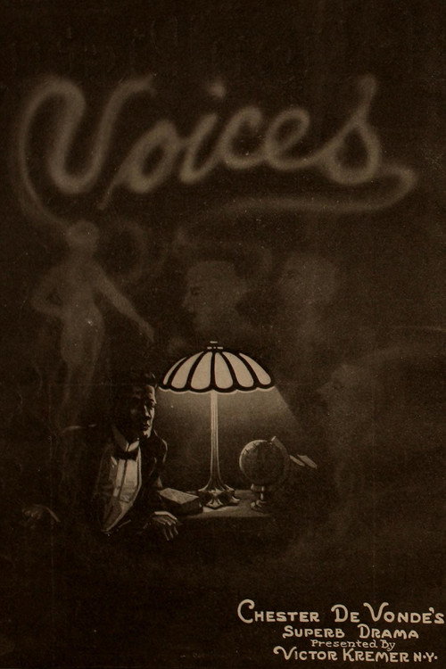 Voices — постер