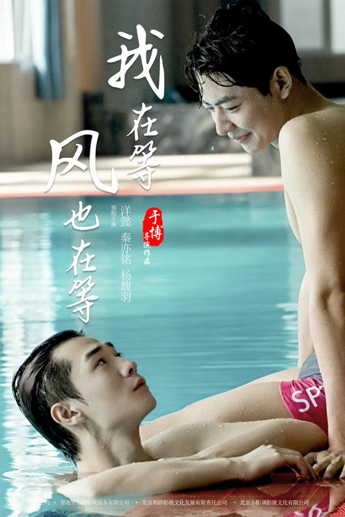 我在等，风也在等 — постер