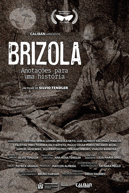 Brizola, Anotações para uma História — постер