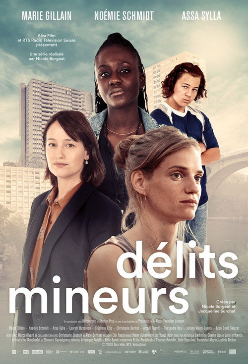 Délits mineurs — постер