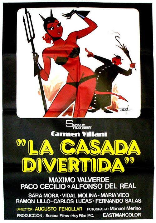 La casada divertida — постер