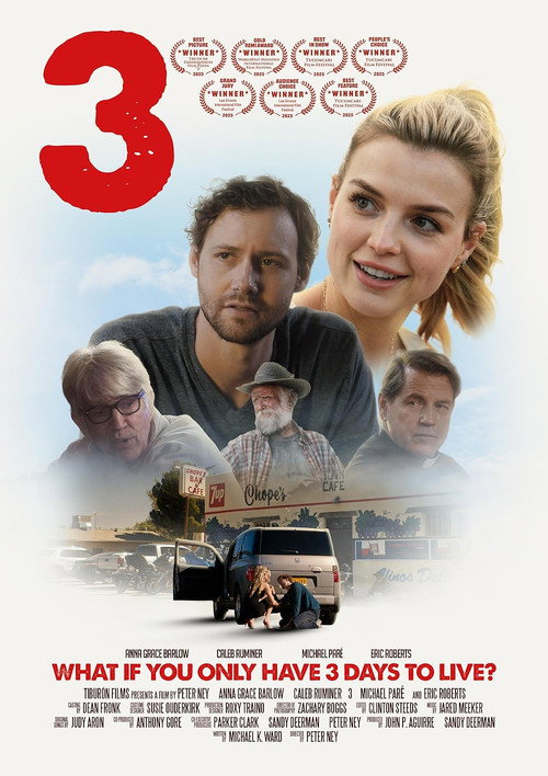 3 — постер