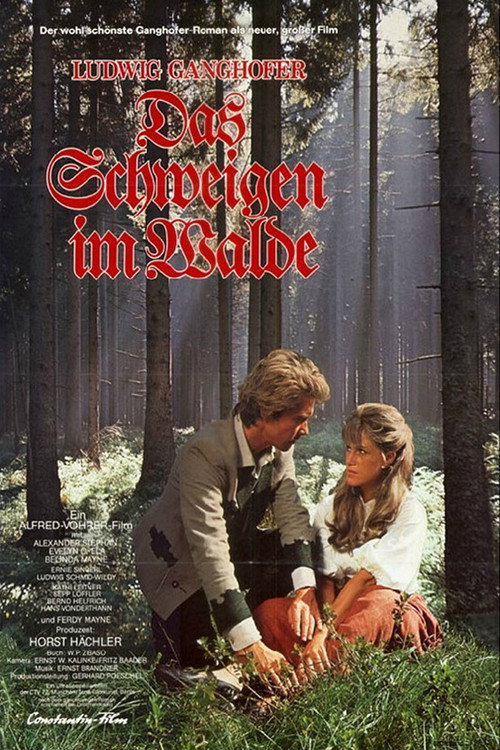 Das Schweigen im Walde — постер