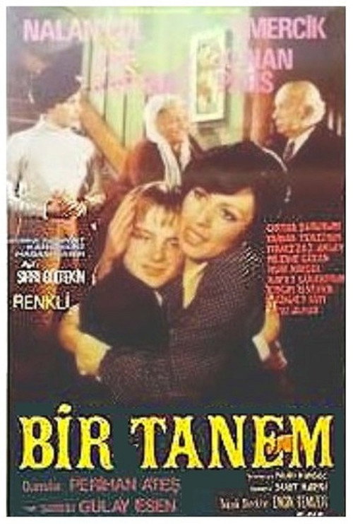 Bir Tanem — постер