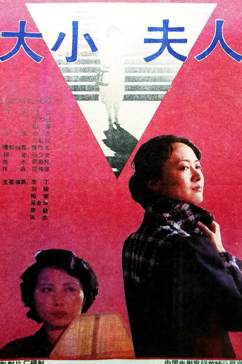 大小夫人 — постер