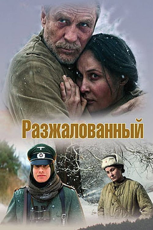 Разжалованный — постер