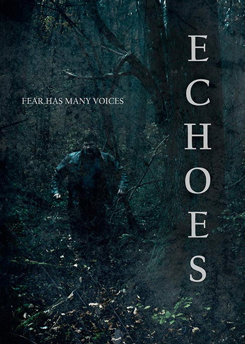 Echoes — постер