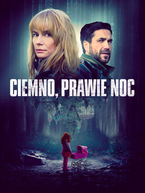 Ciemno, prawie noc — постер