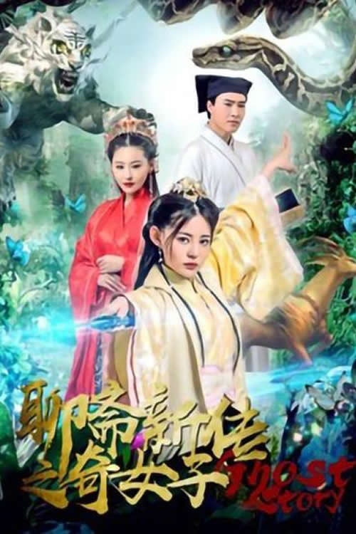 聊斋新传之奇女子 — постер
