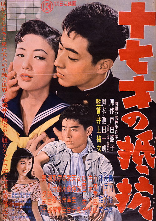 十七才の抵抗 — постер