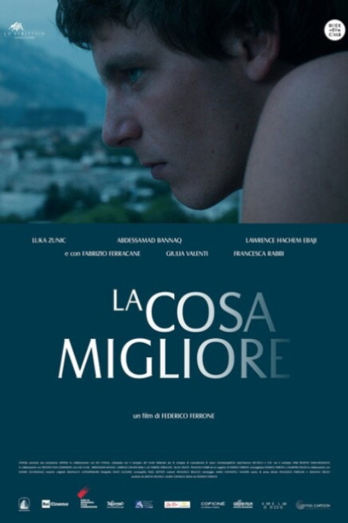La cosa migliore — постер