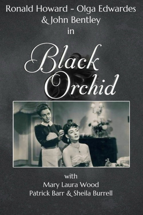 Black Orchid — постер