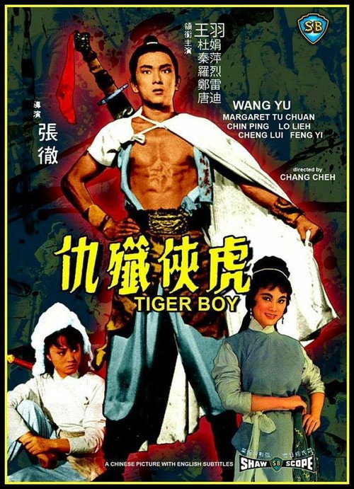 虎俠殲仇 — постер