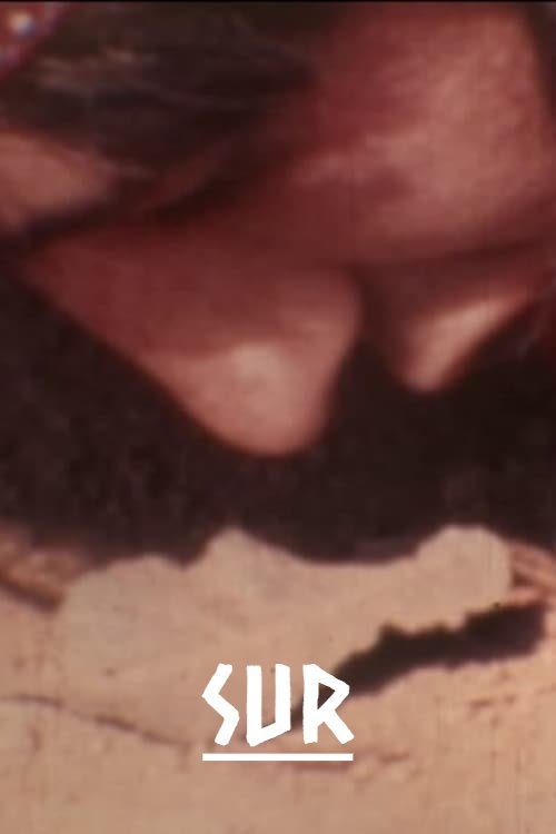 Sur — постер