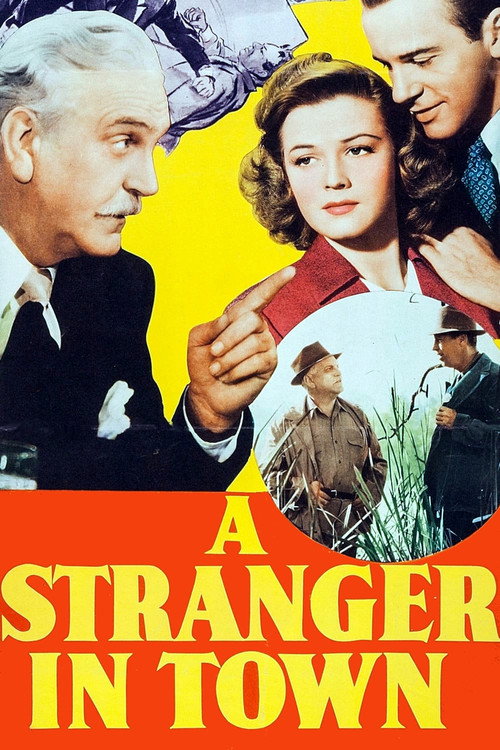 A Stranger in Town — постер
