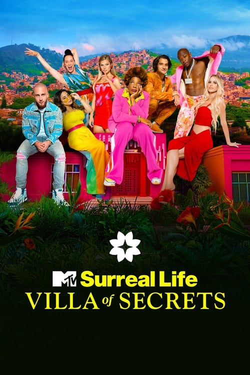 The Surreal Life — постер