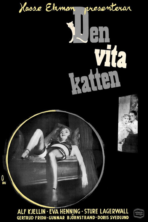 Den vita katten — постер