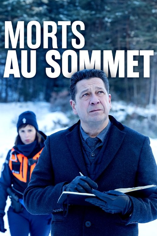 Noir comme neige : Morts au Sommet — постер