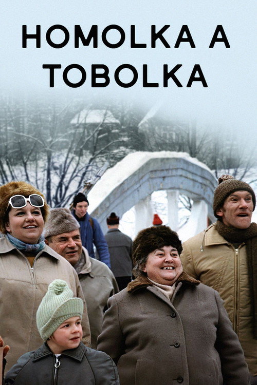 Homolka a tobolka — постер