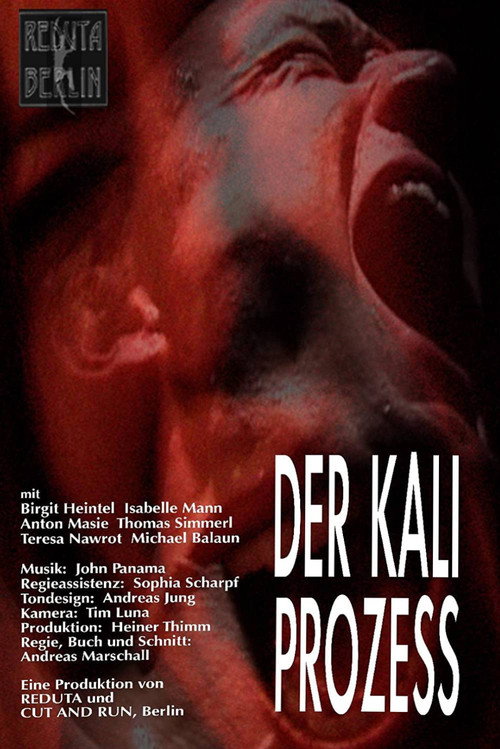 Der Kali Prozess — постер