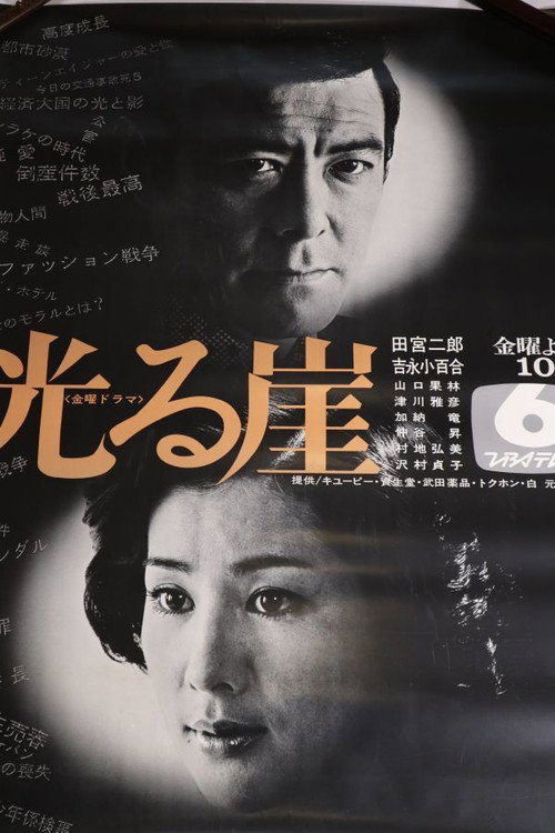 光る崖 — постер