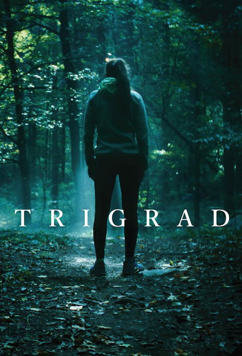 Trigrad — постер