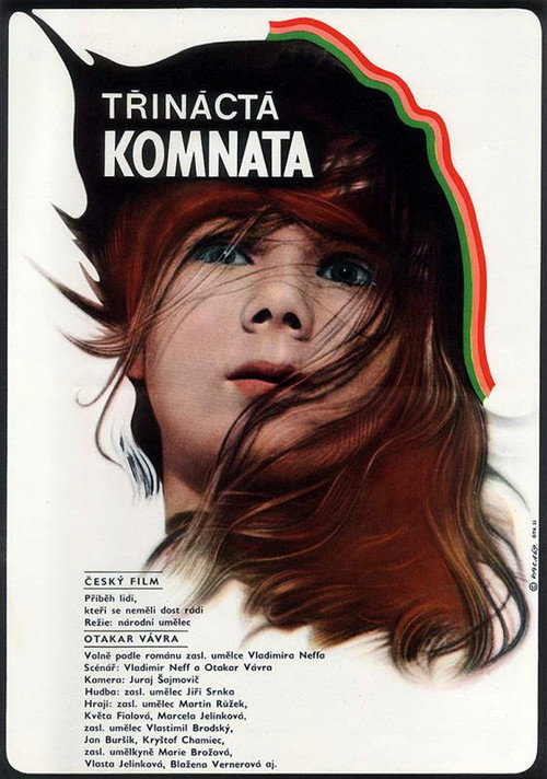 Třináctá komnata — постер