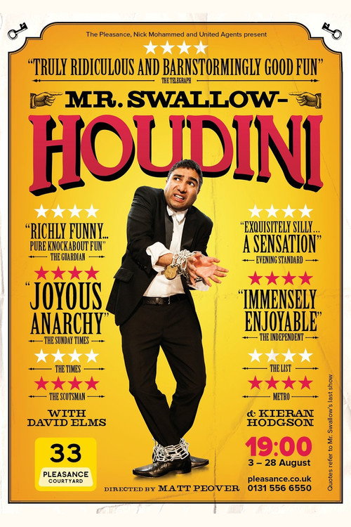 Mr Swallow: Houdini — постер