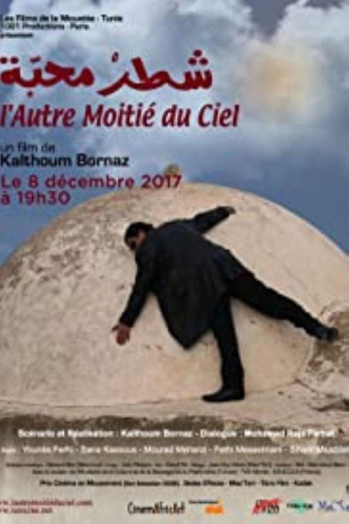 شطر محبة — постер