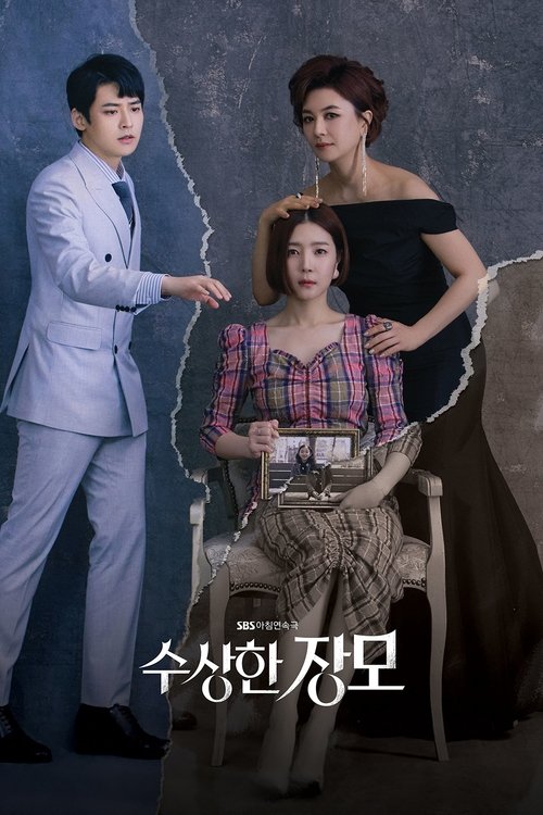 수상한 장모 — постер