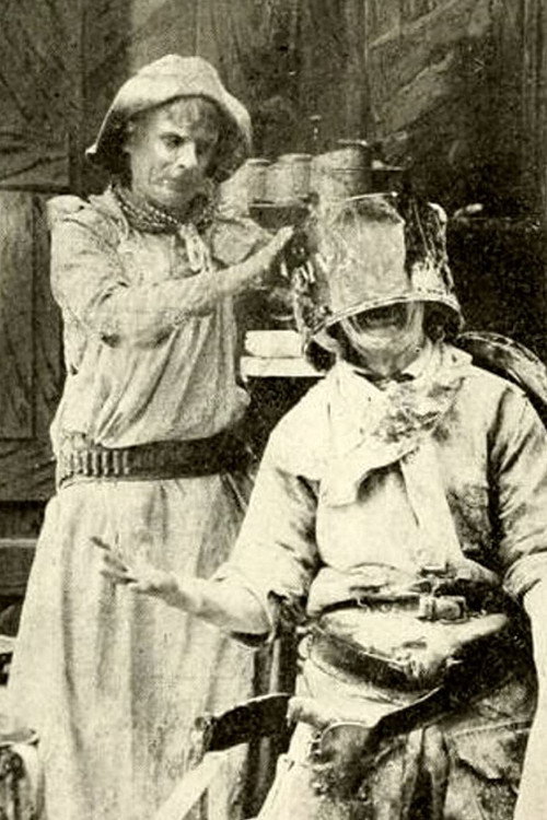 Alkali Ike's Boarding House — постер