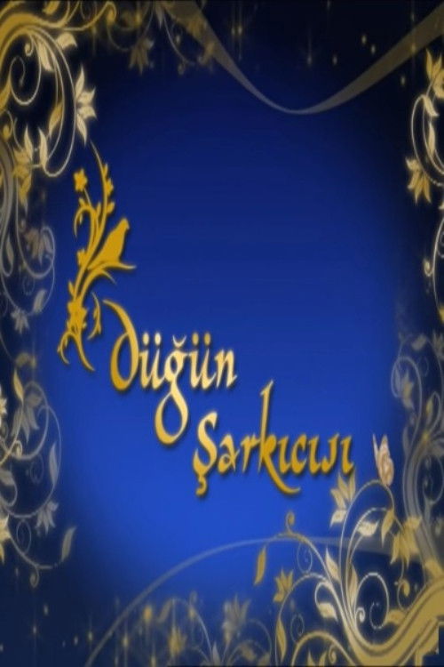 Düğün Şarkıcısı — постер