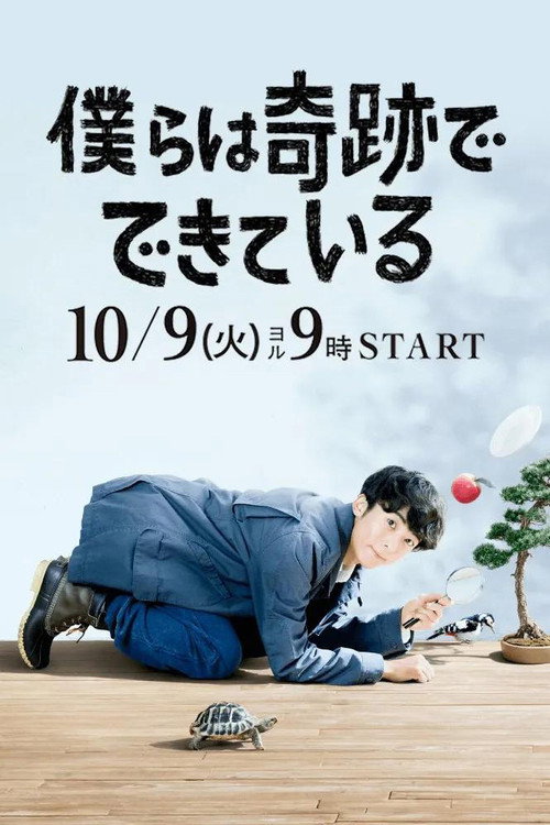 僕らは奇跡でできている — постер