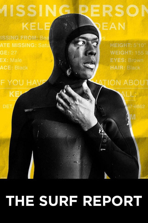 The Surf Report — постер