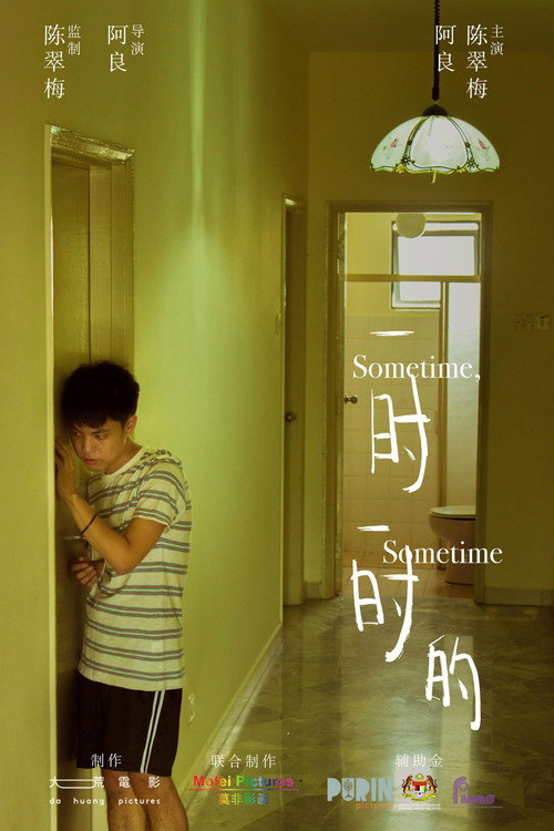 一时一时的 — постер