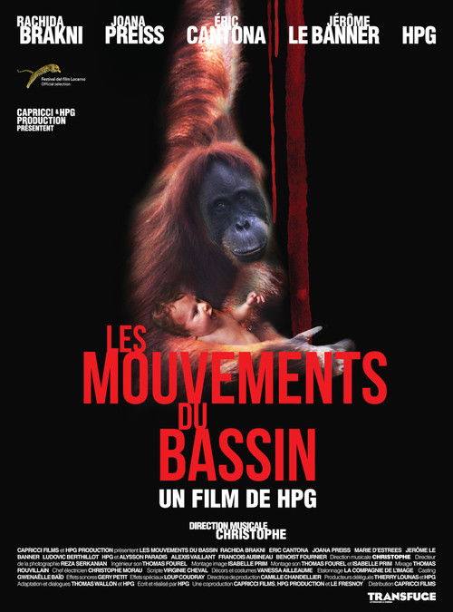 Les Mouvements du bassin — постер