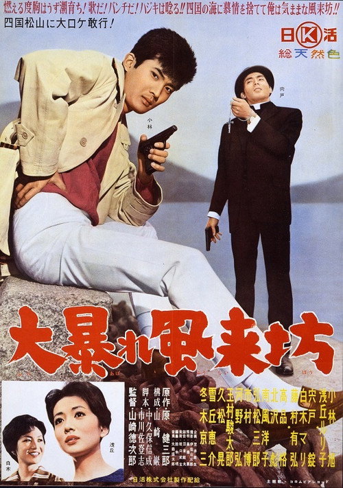 大暴れ風来坊 — постер