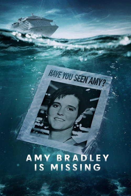 Amy Bradley Is Missing — постер