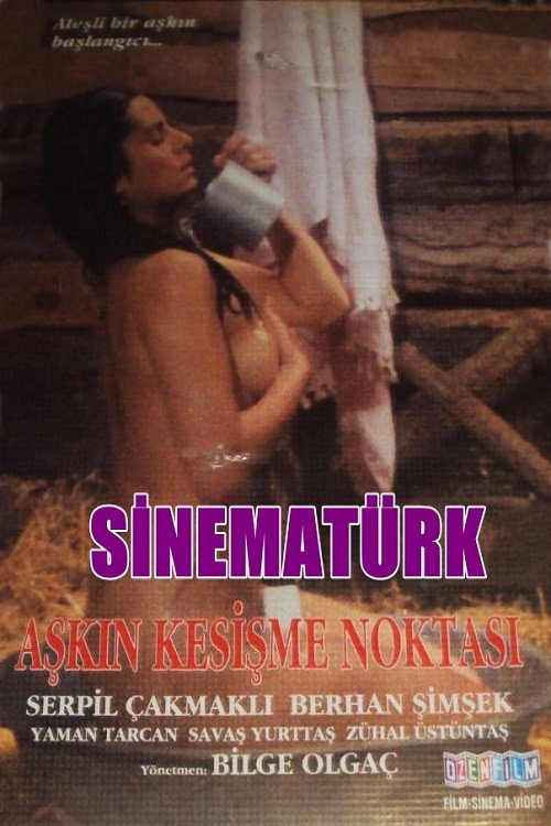 Aşkın Kesişme Noktası — постер