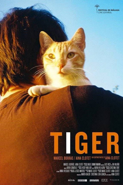 Tiger — постер