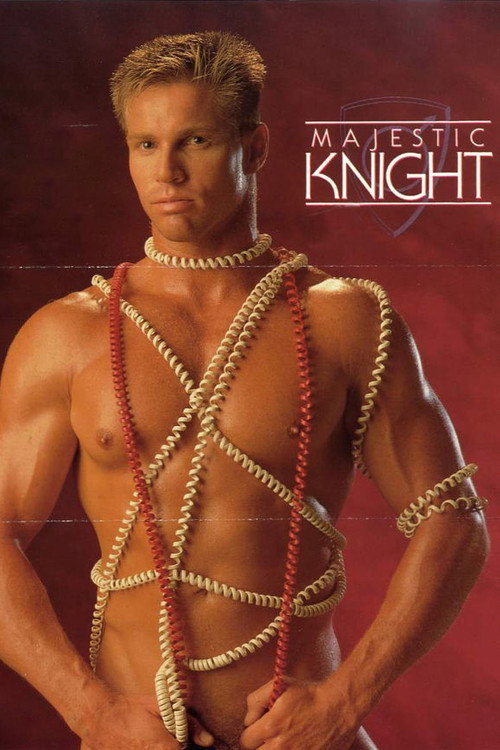 Majestic Knights — постер