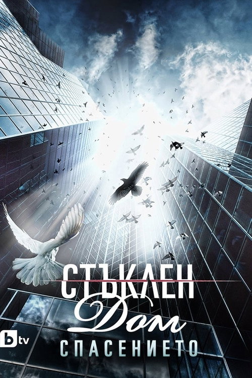 Стъклен дом — постер