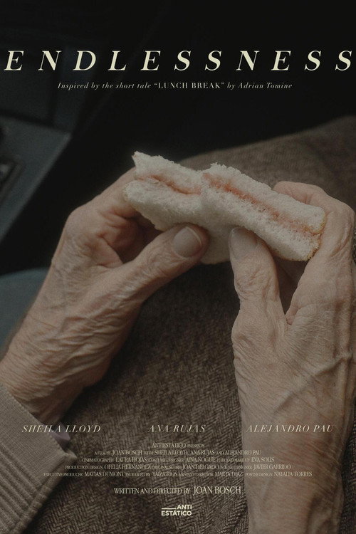 Endlessness — постер