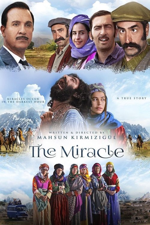 Чудо — постер
