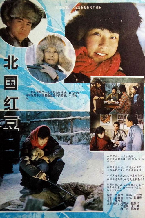 北国红豆 — постер