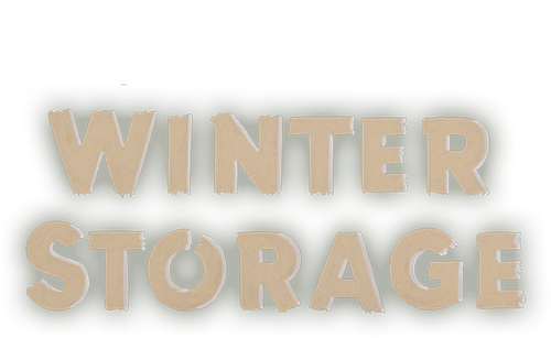 Winter Storage — логотип