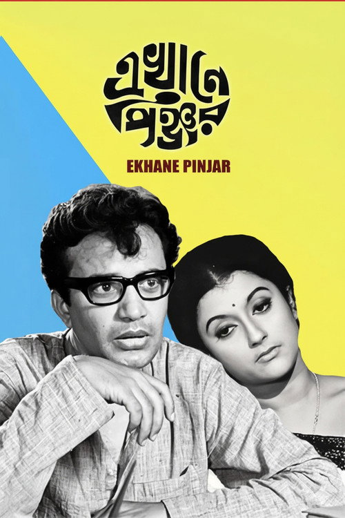 এখানে পিঞ্জর — постер